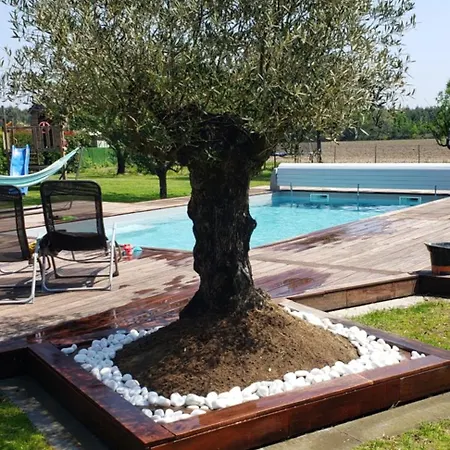 En Bordure De Foret Piscine Sans Vis-a-vis