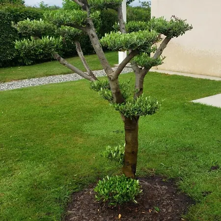 En Bordure De Foret Piscine Sans Vis-a-vis Villa *